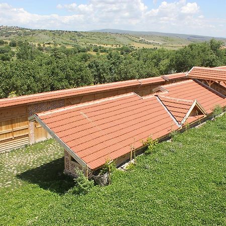 Yasayan Koy Ξενοδοχείο Kizilcasogut Εξωτερικό φωτογραφία