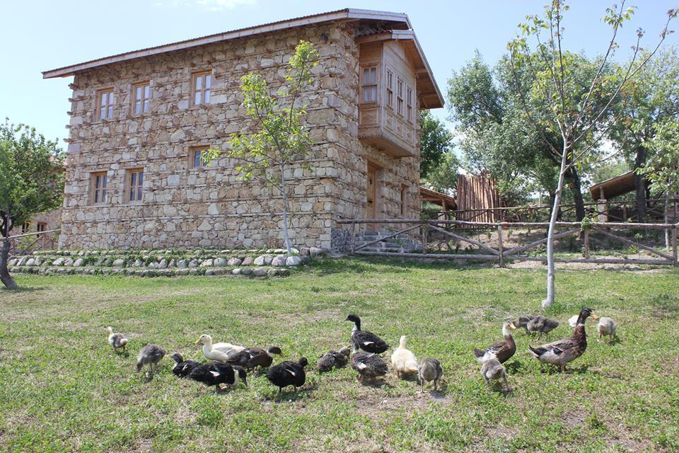 Yasayan Koy Ξενοδοχείο Kizilcasogut Εξωτερικό φωτογραφία