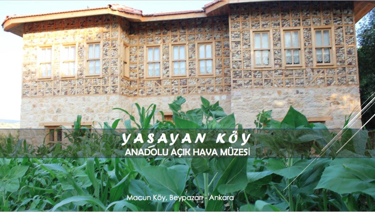 Yasayan Koy Ξενοδοχείο Kizilcasogut Εξωτερικό φωτογραφία